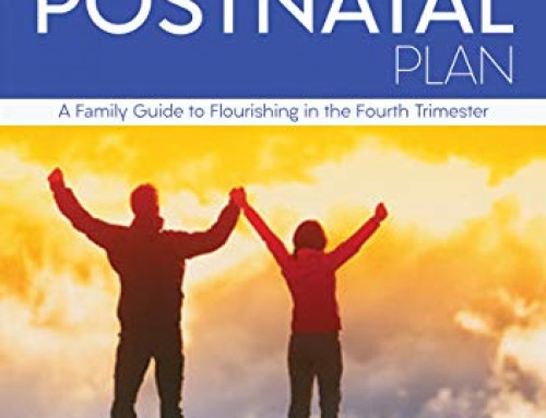 The 40-Day Postnatal Plan